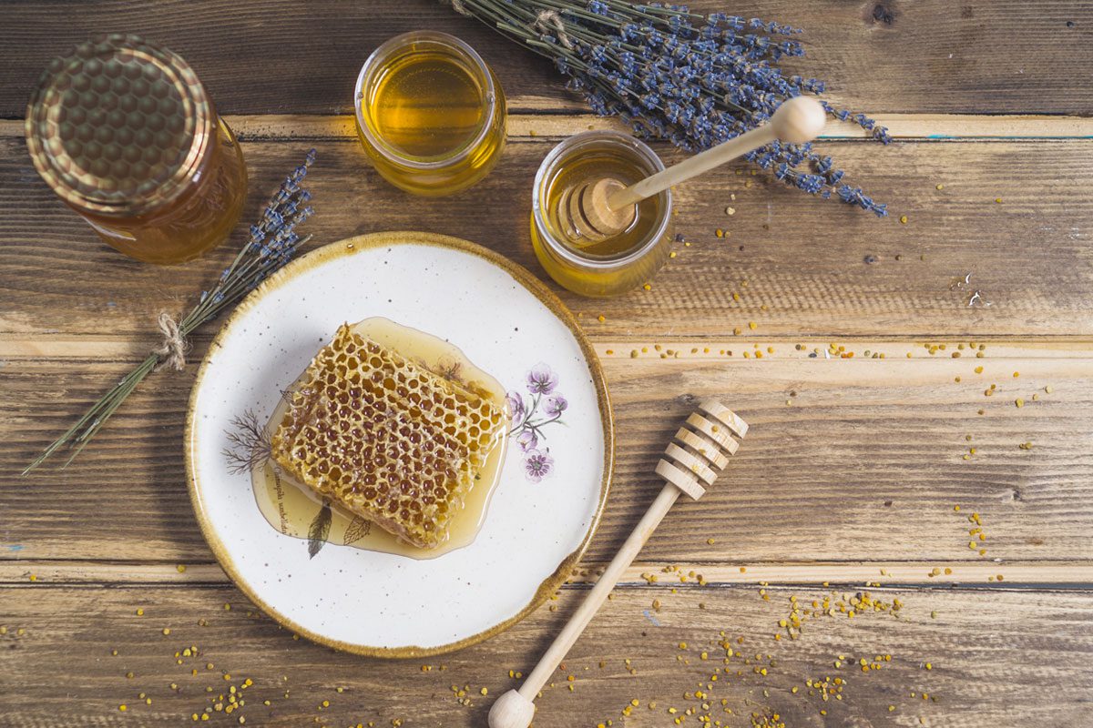 Beekeeping Field Trips